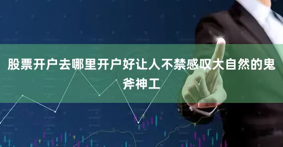 股票开户去哪里开户好让人不禁感叹大自然的鬼斧神工