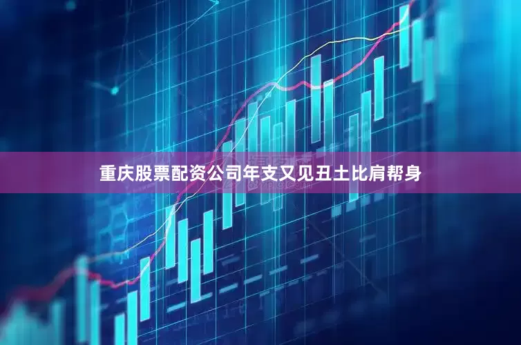 重庆股票配资公司年支又见丑土比肩帮身